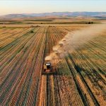 zira destekleme odemeleri sorgulama ekrani 2025 temmuz ayi ciftci dayanak odemeleri yatti mi ne 3jjmubyB