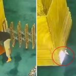 ayasofyada kundaklama girisimi kirmizi sapkali supheli her yerde araniyor nM9hwHA6