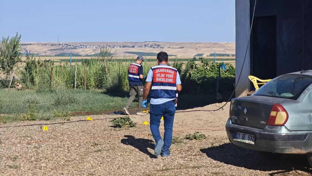 Diyarbakır'da arazi kavgası faciaya dönüştü 71 diyarbakirda arazi kavgasi faciaya donustu 9E9DT5HW