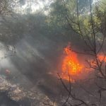 dmmden ormanlar talan edildi iddiasina cevap 1j9ltkkj