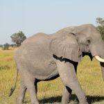 filler beserlerle yillardir baglanti kurmaya calisiyormus IjNXyqw6