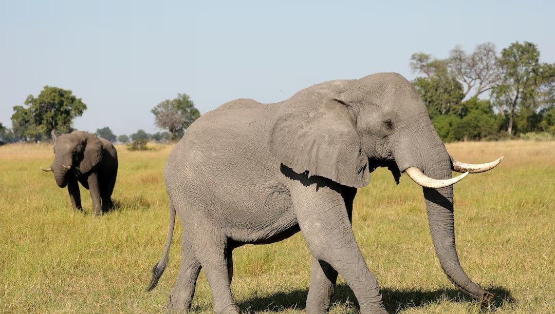 filler beserlerle yillardir baglanti kurmaya calisiyormus IjNXyqw6