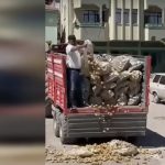 patatesli protestoya milyonluk ceza tartismasi hukuka uygun mu yvyLLwS8