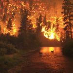 sehirlerde hissedilen sicaklik on dereceyi asiyor uzman uyardi 2025 yazi bir donum noktasi olabilir F4VheL1G