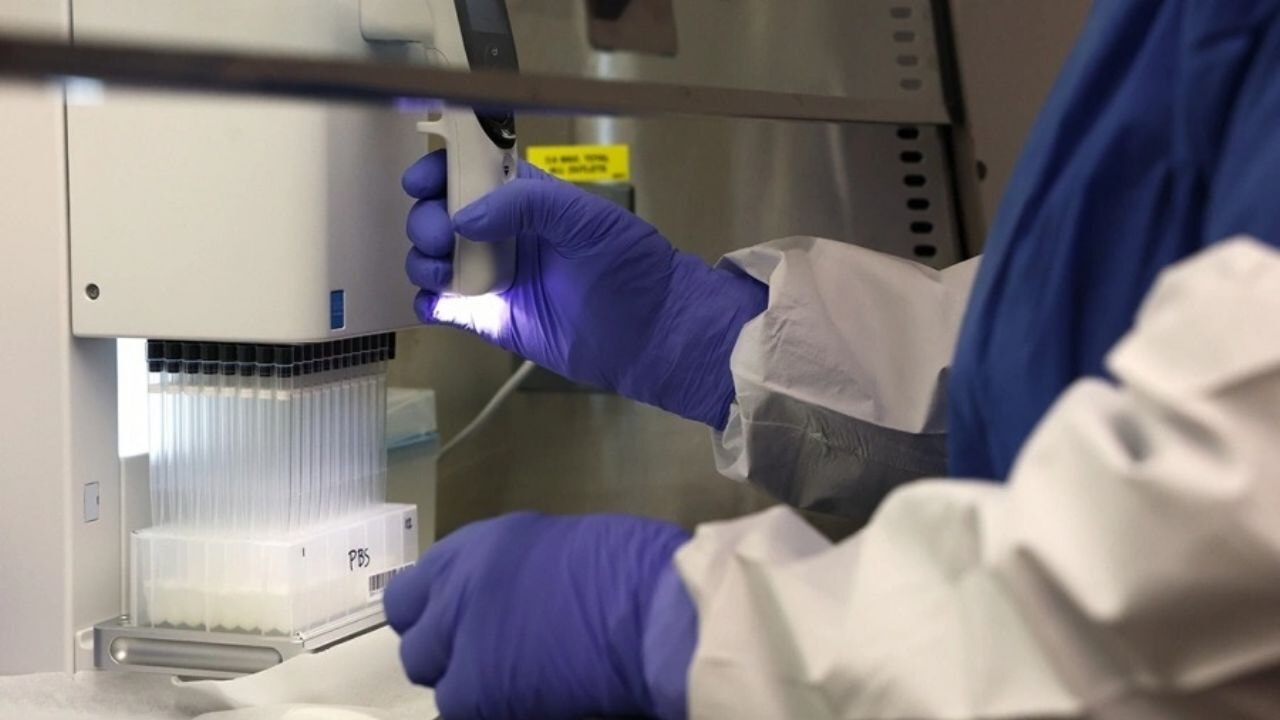 Silikon Vadisi'nde 'Zeka Ticareti': 50 Bin Dolara Genetik IQ Testi 71 silikon vadisinde zeka ticareti 50 bin dolara genetik iq testi JFQArw9Y