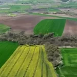 tapu sahipleri aman dikkat bakanlik direkt kiraya verebilecek ZHLL7YtA