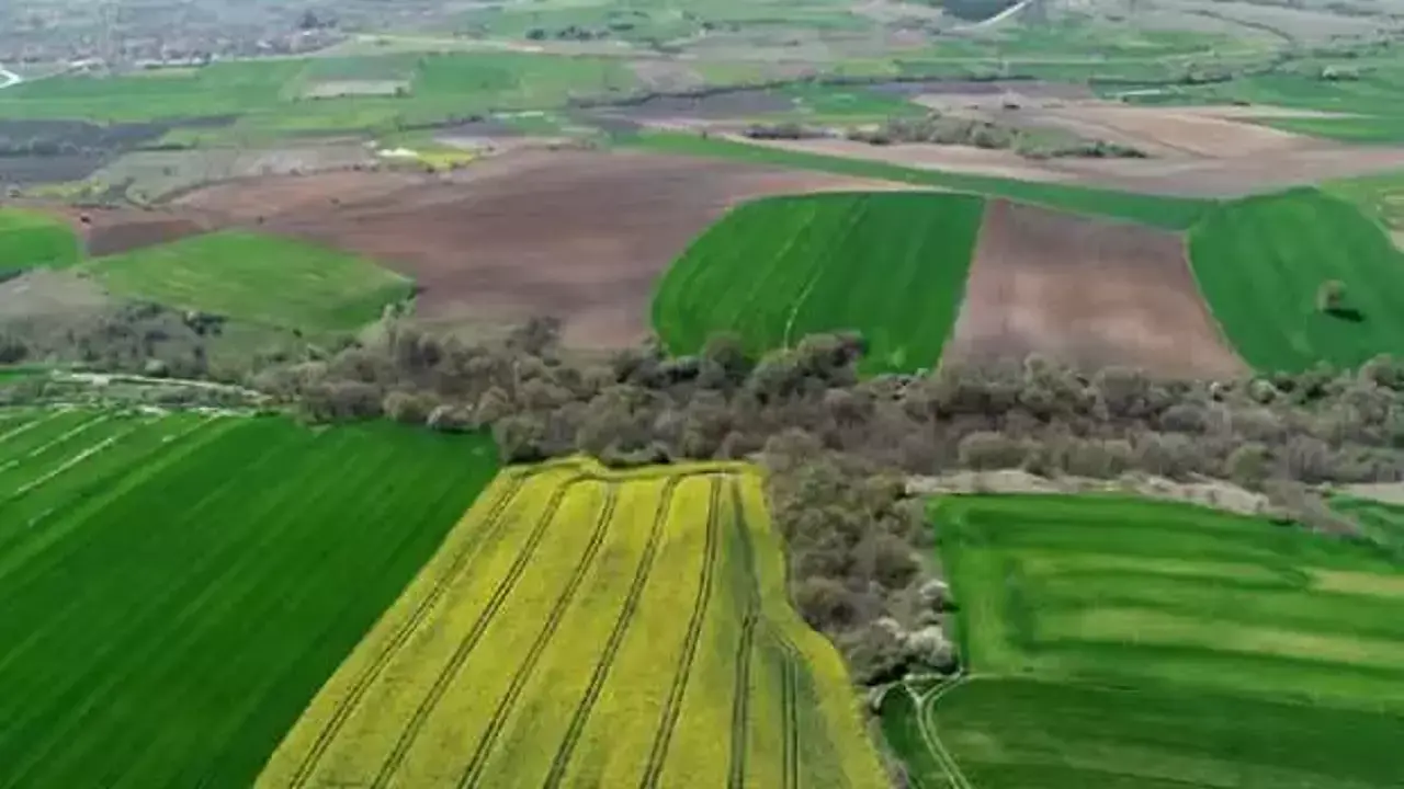 tapu sahipleri aman dikkat bakanlik direkt kiraya verebilecek ZHLL7YtA