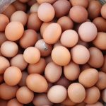 tarim bakanligindan gidada en cok merak edilenler WGKcGEeP