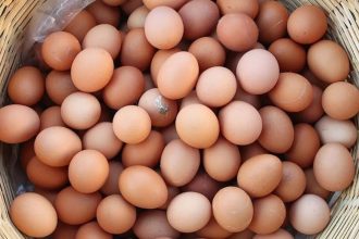 tarim bakanligindan gidada en cok merak edilenler WGKcGEeP