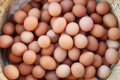 tarim bakanligindan gidada en cok merak edilenler WGKcGEeP