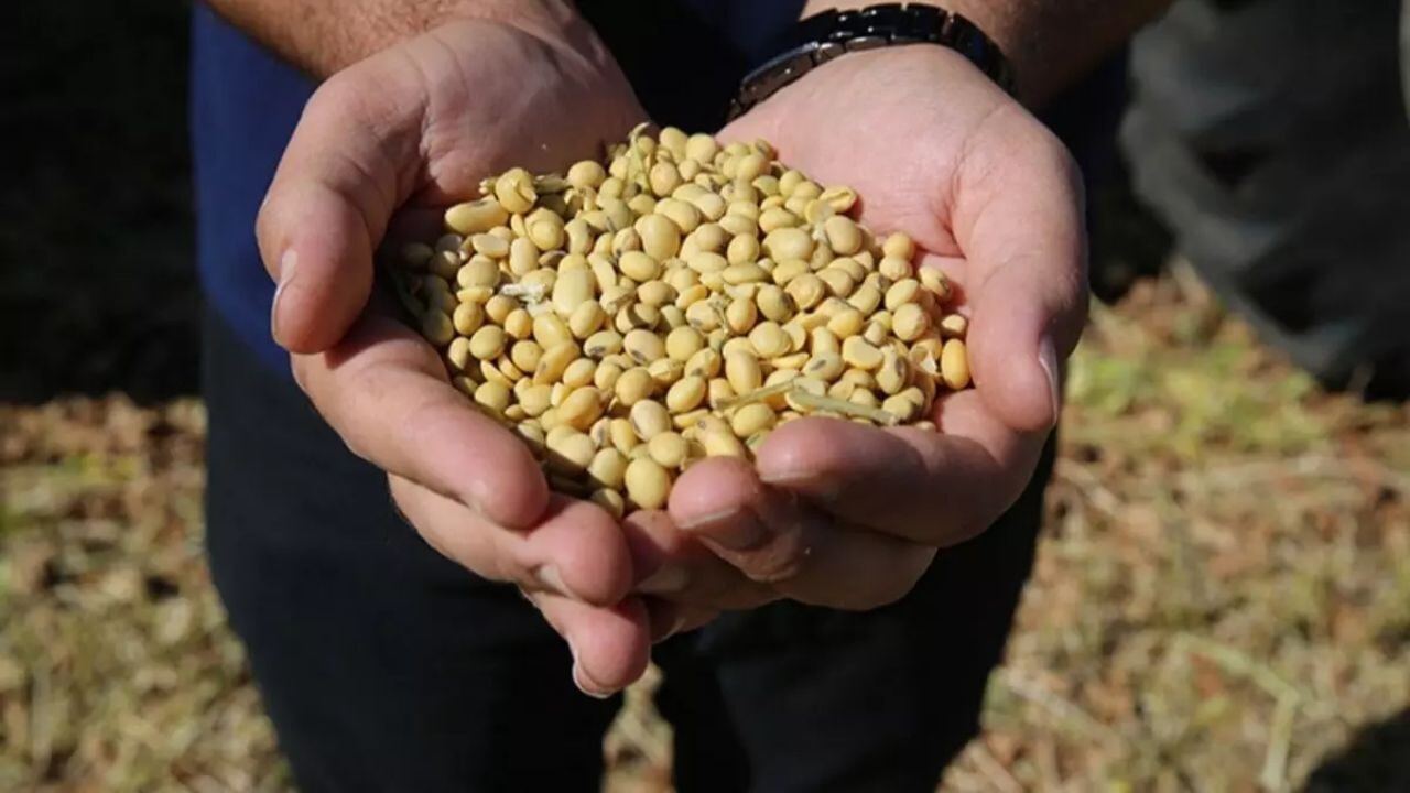 yeni tarim destegi aciklandi soya ureticisine ek odeme r8z23NIb