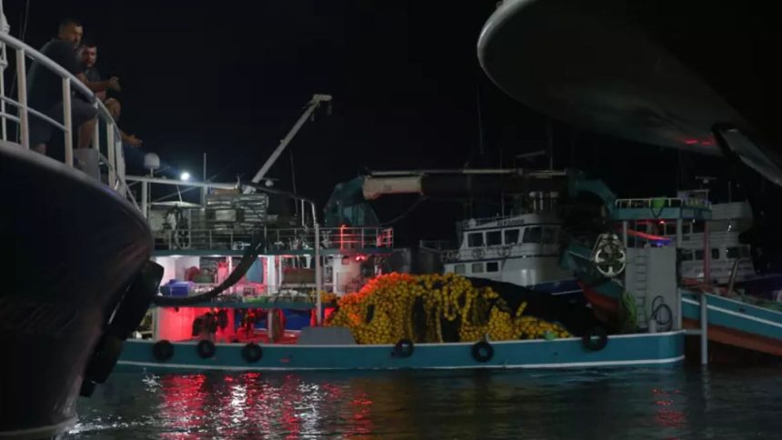 2025-2026 balık av sezonu törenle Trabzon'da açıldı 71 2025 2026 balik av sezonu torenle trabzonda acildi ivPYXd49