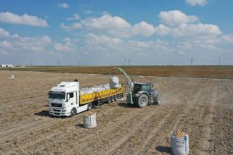 baskan erkoyuncu 2027 yilinda patates tohumunda disa bagimlilik bitecek LIXAnjVw