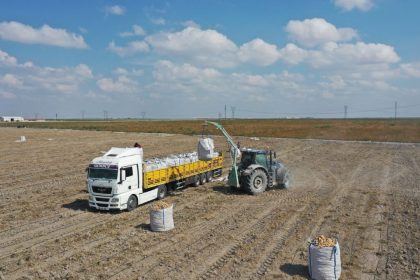 baskan erkoyuncu 2027 yilinda patates tohumunda disa bagimlilik bitecek LIXAnjVw