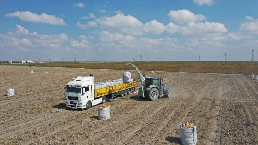 baskan erkoyuncu 2027 yilinda patates tohumunda disa bagimlilik bitecek LIXAnjVw