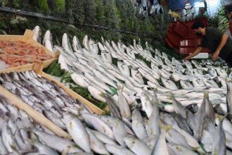 bu haberi okumadan balik almayin UATwsKhk