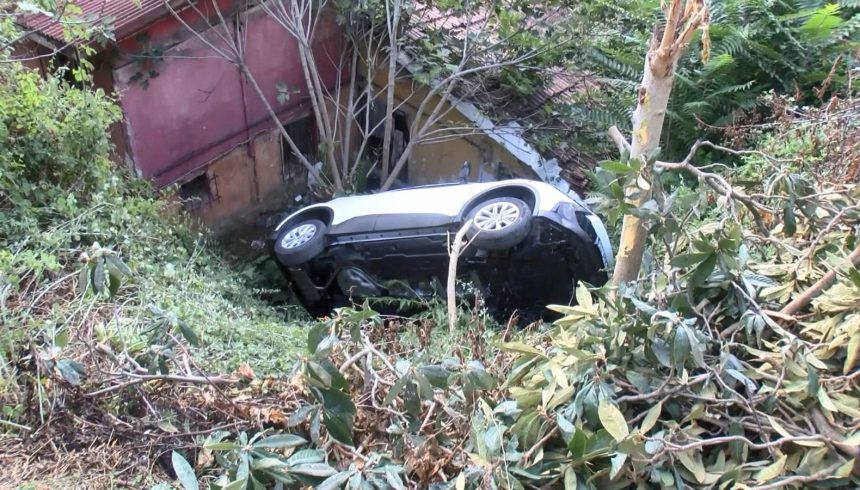 denetimden cikancip meskenin bahcesine uctu u3HFqs8e