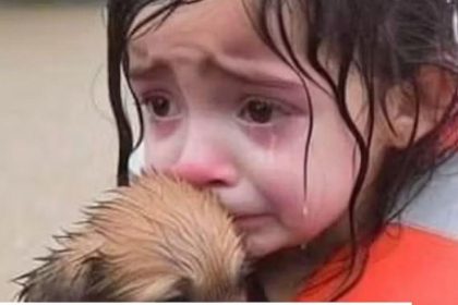 interneti dolduran yeni tehlike ai slop nedir ZfcDl6KD