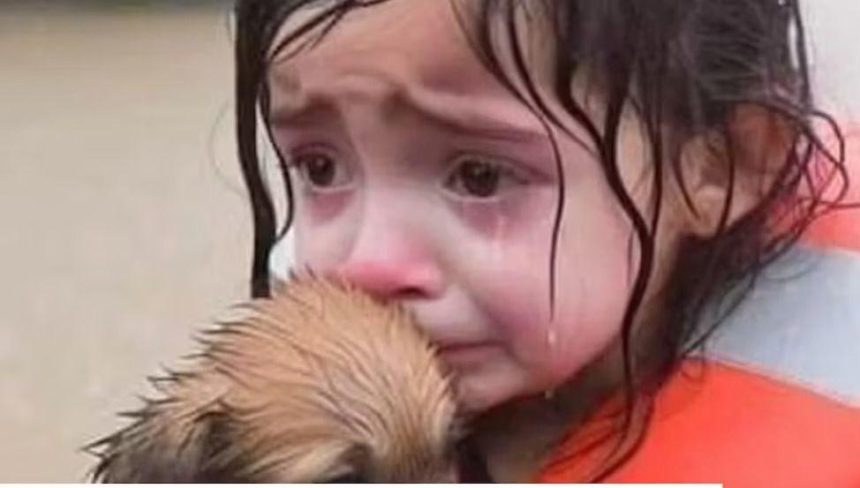 interneti dolduran yeni tehlike ai slop nedir ZfcDl6KD