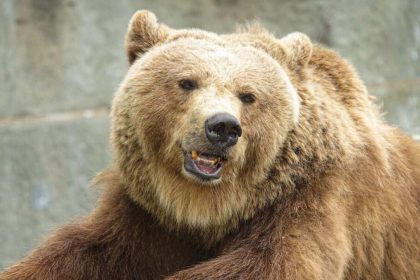 kremlinden trumpa rusya bir ayidir jiXMgIX2