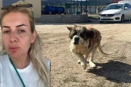 kuduz kopek davasinda karar buket ozgunlu boyaci hakkinda karar ZGdzplKN