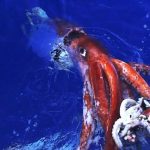 murekkepbaliklari cocuklara yonelik zeka testini gecti YTIVZkmZ