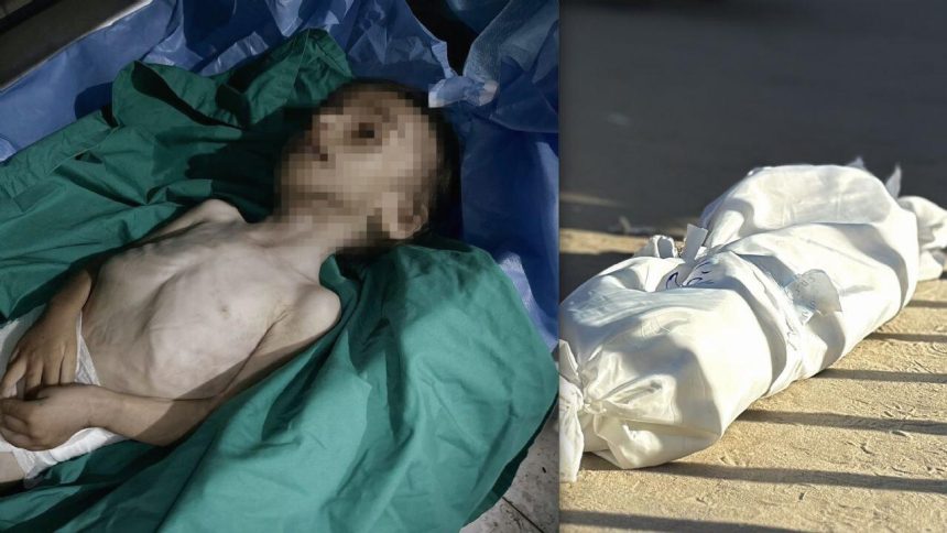 Sosyal medya, Gazze'deki İsrail soykırımını finanse ediyor! 71 sosyal medya gazzedeki israil soykirimini finanse ediyor KVLn2syJ