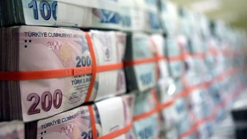 Türk lirası ile ihracat ve ithalat rekor seviyeye çıktı 71 turk lirasi ile ihracat ve ithalat rekor seviyeye cikti 1Z1WPJ1d