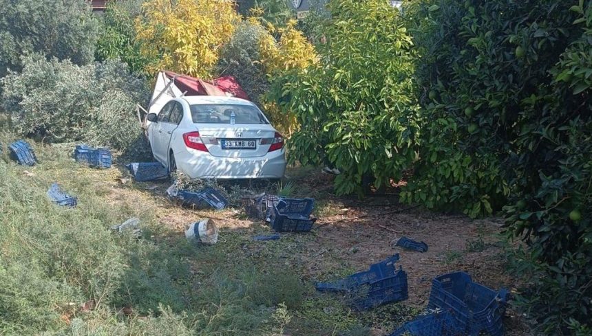 zeytin toplayan emekcilere carpti meyyit sayisi yukseldi qRKdlqZx