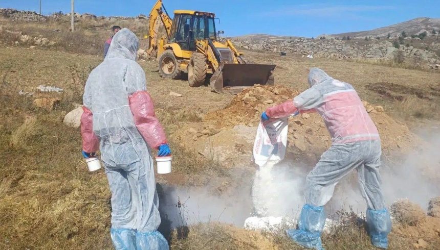 6 koye giris cikis yasaklandi bir vilayette sarbon panigi 2UQAyVbk