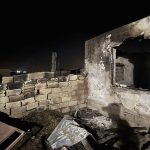 ahirda yangin cikti 170 koyun oldu Yfjqm1TT