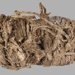 akbaba yuvasinda 750yillik ayakkabi bulundu D8QkUsVd