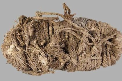 akbaba yuvasinda 750yillik ayakkabi bulundu D8QkUsVd