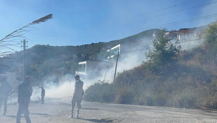 alanyada ormanlik alanda yangin ABUYFOFp