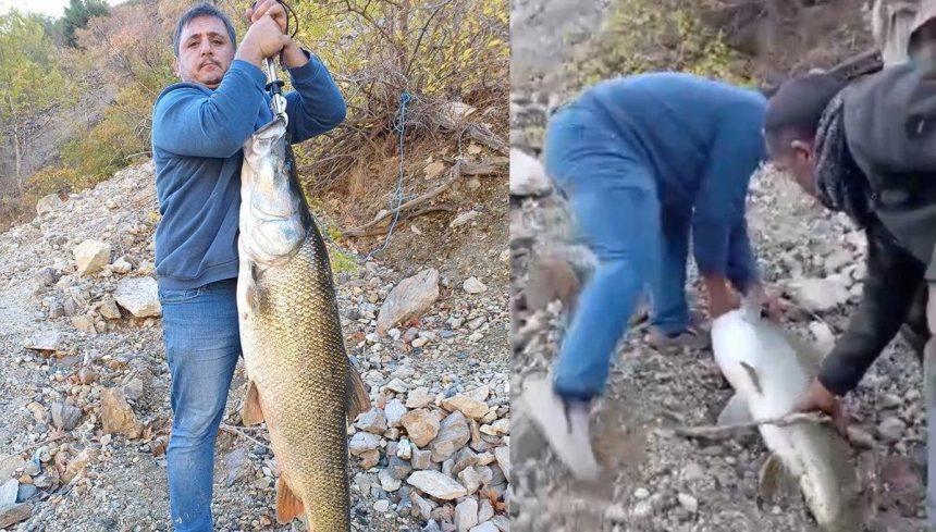 amator balikcinin heyecan dolu anlari tam 32 kilo dKp2fJDL