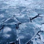 arktik bolgesinde imkansiz sanilan bakteriler kesfedildi global olcekte tesirleri olabilir JM7nBSuM