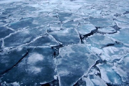 arktik bolgesinde imkansiz sanilan bakteriler kesfedildi global olcekte tesirleri olabilir JM7nBSuM