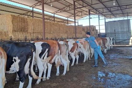 aydinda sap hastaligi 34 mahalle karantinaya alindi sTKFaBCu