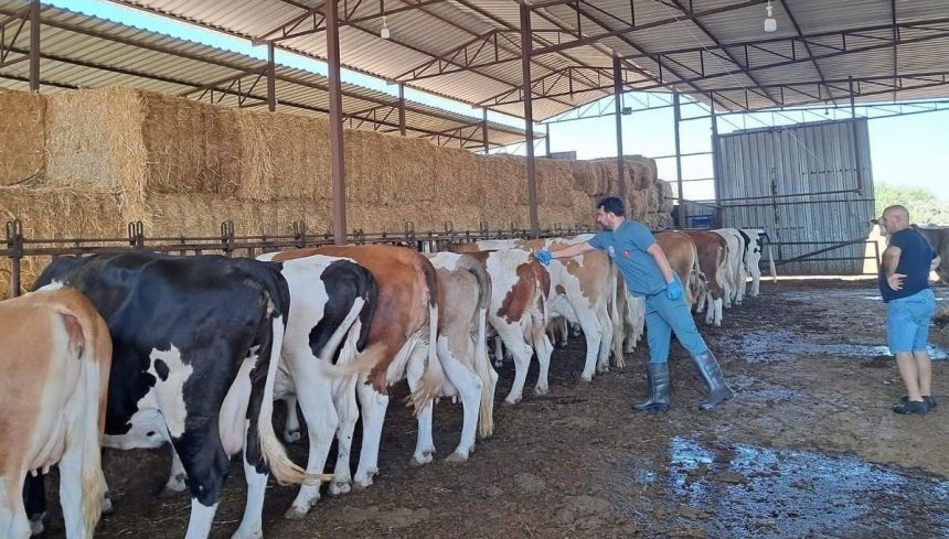 aydinda sap hastaligi 34 mahalle karantinaya alindi sTKFaBCu