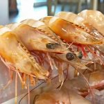 bin 500 liradan 400 liraya kadar dustu tezgahlarda karides bollugu HMQfDby1