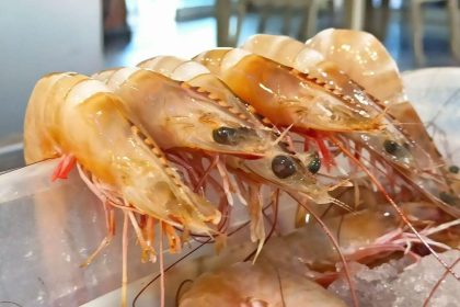 bin 500 liradan 400 liraya kadar dustu tezgahlarda karides bollugu HMQfDby1