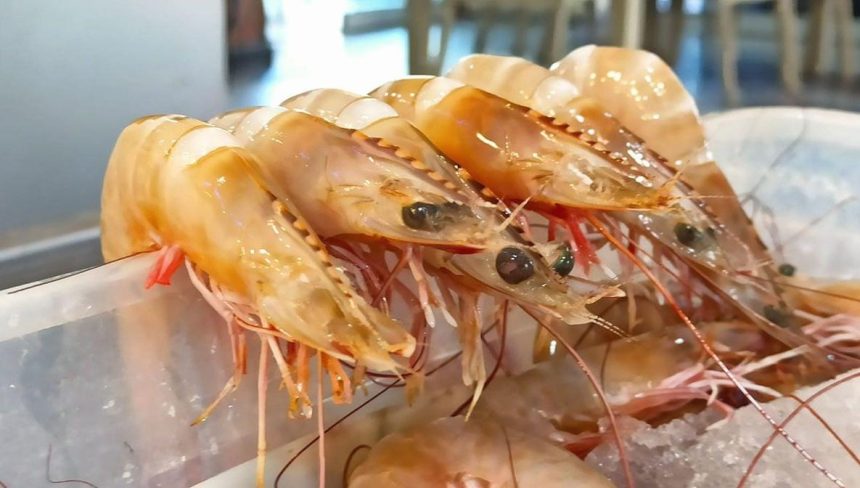 bin 500 liradan 400 liraya kadar dustu tezgahlarda karides bollugu HMQfDby1