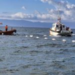 bodrumda gocmen faciasi yedi can kaybi var YhKpXYmy