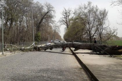 bu bolgelerde yasayanlar dikkat cok kuvvetli firtina geliyor SKm7mDDQ