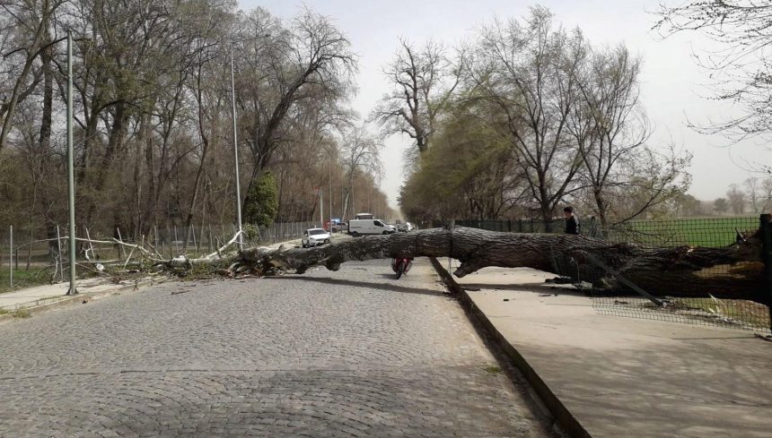 Bu bölgelerde yaşayanlar dikkat! Çok kuvvetli fırtına geliyor 71 bu bolgelerde yasayanlar dikkat cok kuvvetli firtina geliyor SKm7mDDQ