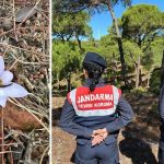 bu cicegi koparmanin cezasi 557 bin tl h3X9qVIM