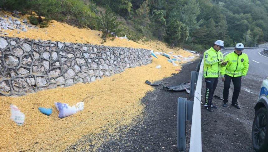 Bursa'da hayvan yemi yüklü TIR devrildi: İki kişi ağır yaralı 71 bursada hayvan yemi yuklu tir devrildi iki kisi agir yarali CkCzTzsE