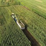 ciftcilere 349 milyon lira destekleme odemesi bugun hesaplarda NV2AFUbp