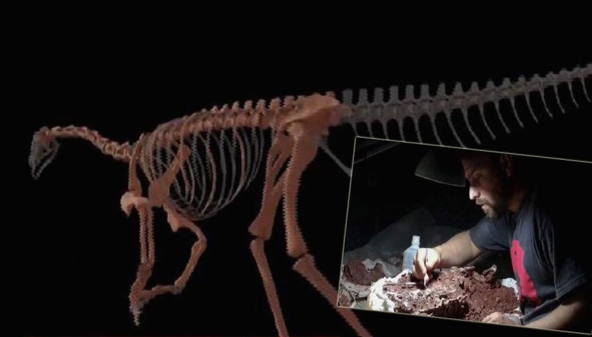 en eski dinozorun kemikleri bulundu dBhmkipf