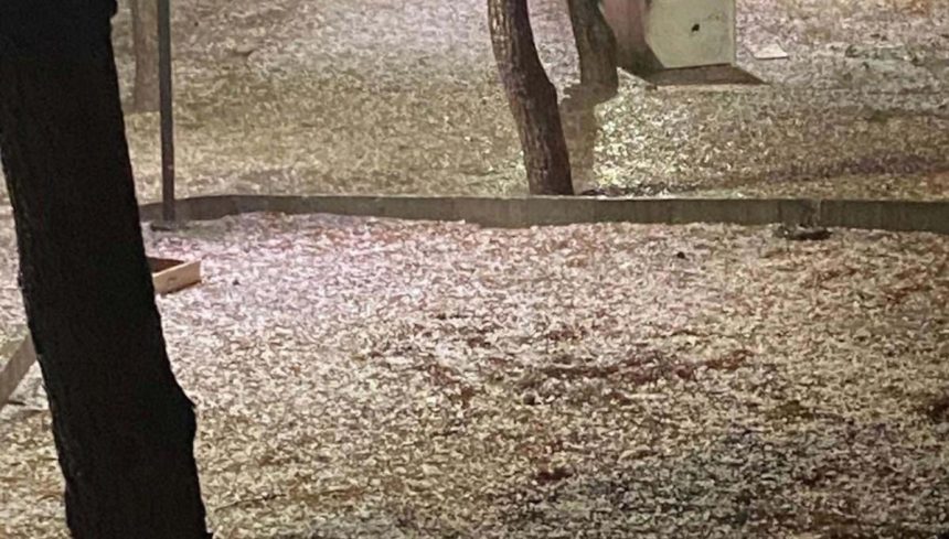 findik buyuklugunde dolu yagdi PIUvJ1uW